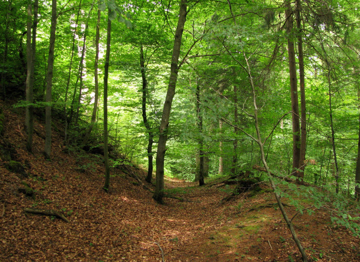 Burgstall Bachern, Germany